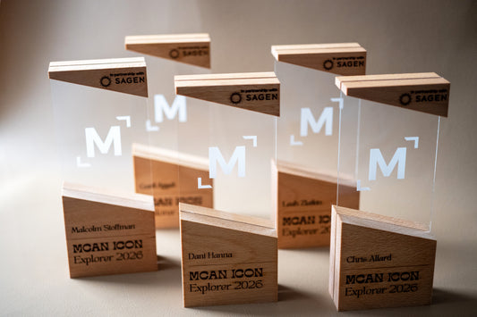 Custom Corporate Award Trophy with Hardwood Base